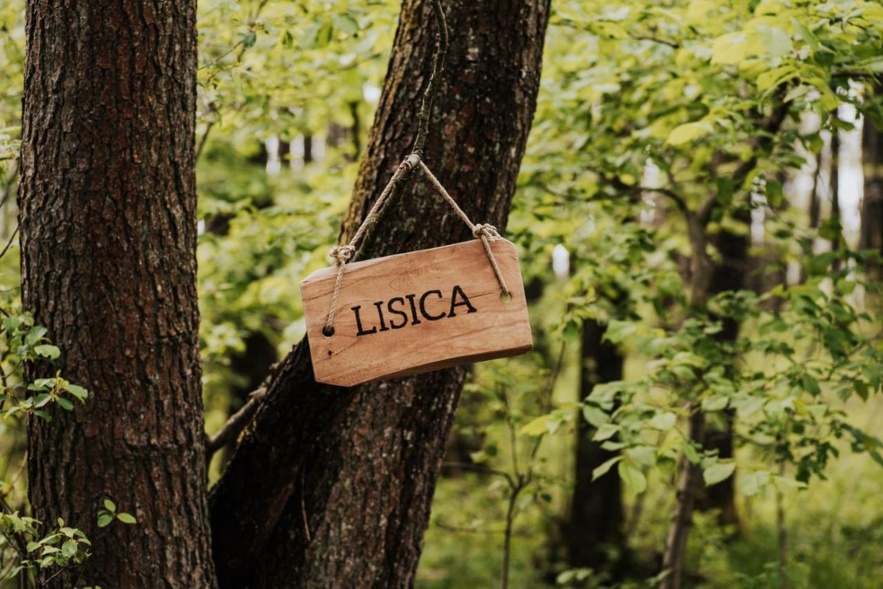 Dziki Las - Domki Na Drzewach Miłomłyn Exteriér fotografie