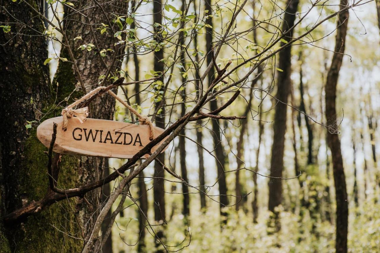 Dziki Las - Domki Na Drzewach Miłomłyn Exteriér fotografie