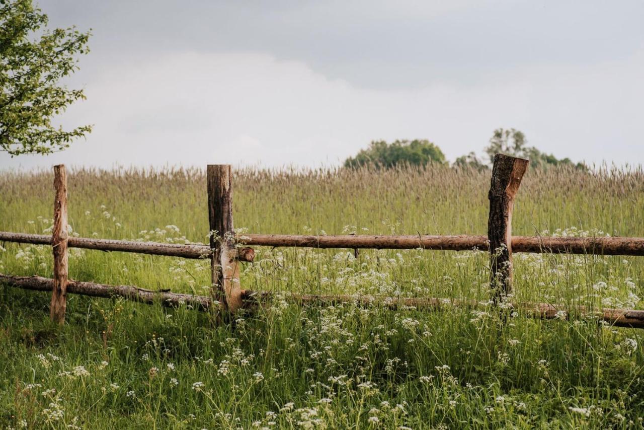 Dziki Las - Domki Na Drzewach Miłomłyn Exteriér fotografie