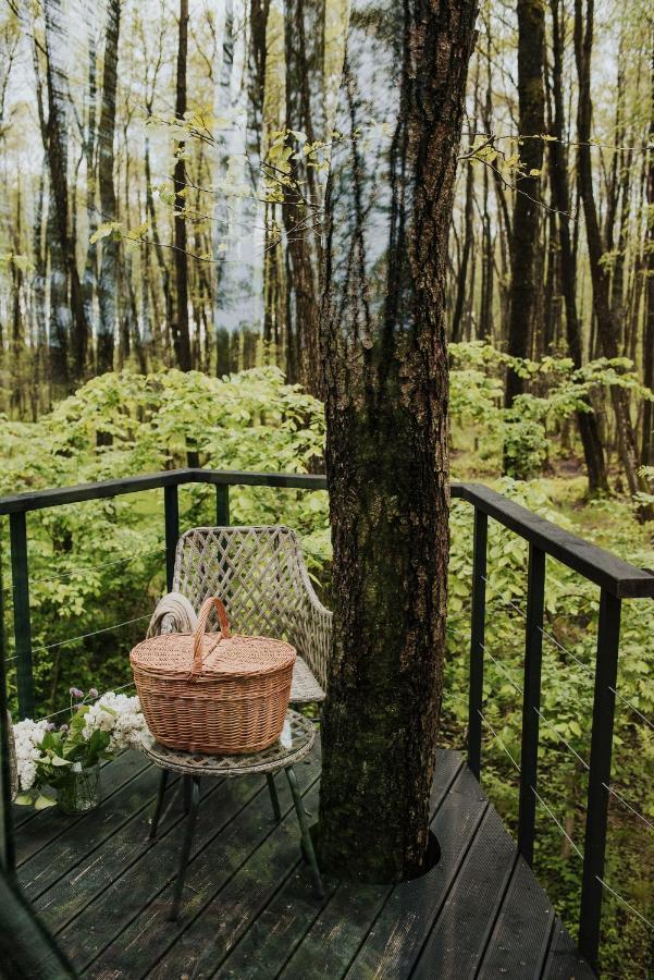 Dziki Las - Domki Na Drzewach Miłomłyn Exteriér fotografie