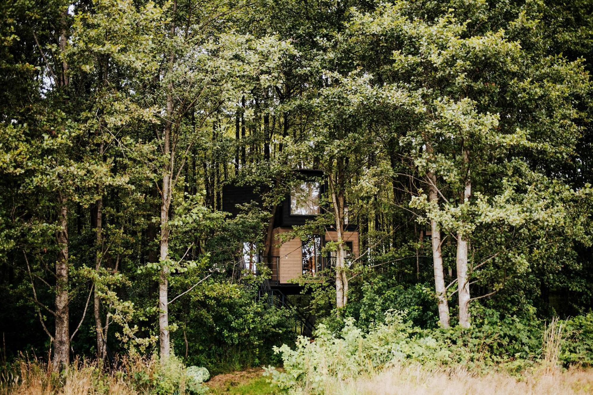 Dziki Las - Domki Na Drzewach Miłomłyn Exteriér fotografie